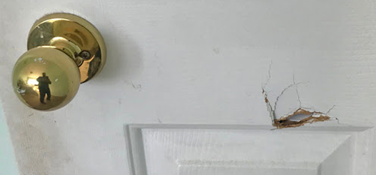 interior door hole repair Belmont