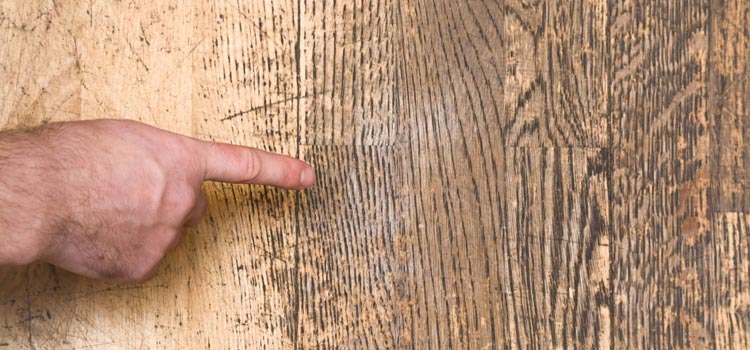 Wood Door Scratch Repair in Belmont